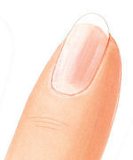 Kosmetikstudio Shannon, 1010 Wien - maniküre mit shellac