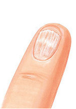 Kosmetikstudio Shannon, 1010 Wien - nagelverlängerung