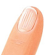 Kosmetikstudio Shannon, Wien 1010 - Nagelverstärkung